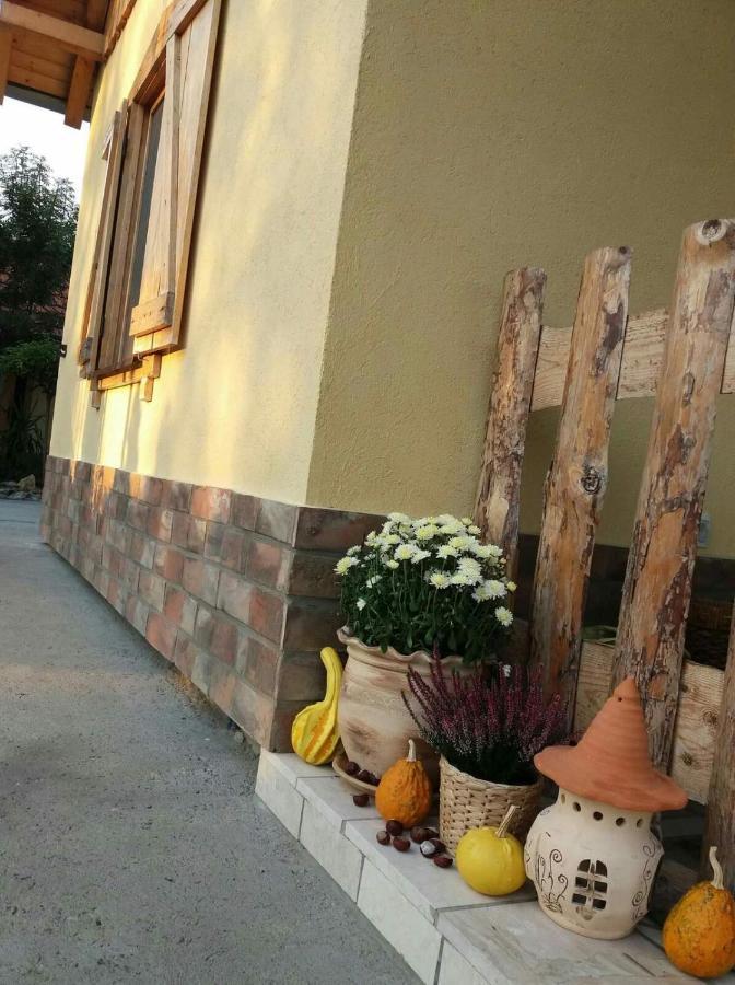 Rita Apartman & Studio Zrenjanin Zewnętrze zdjęcie