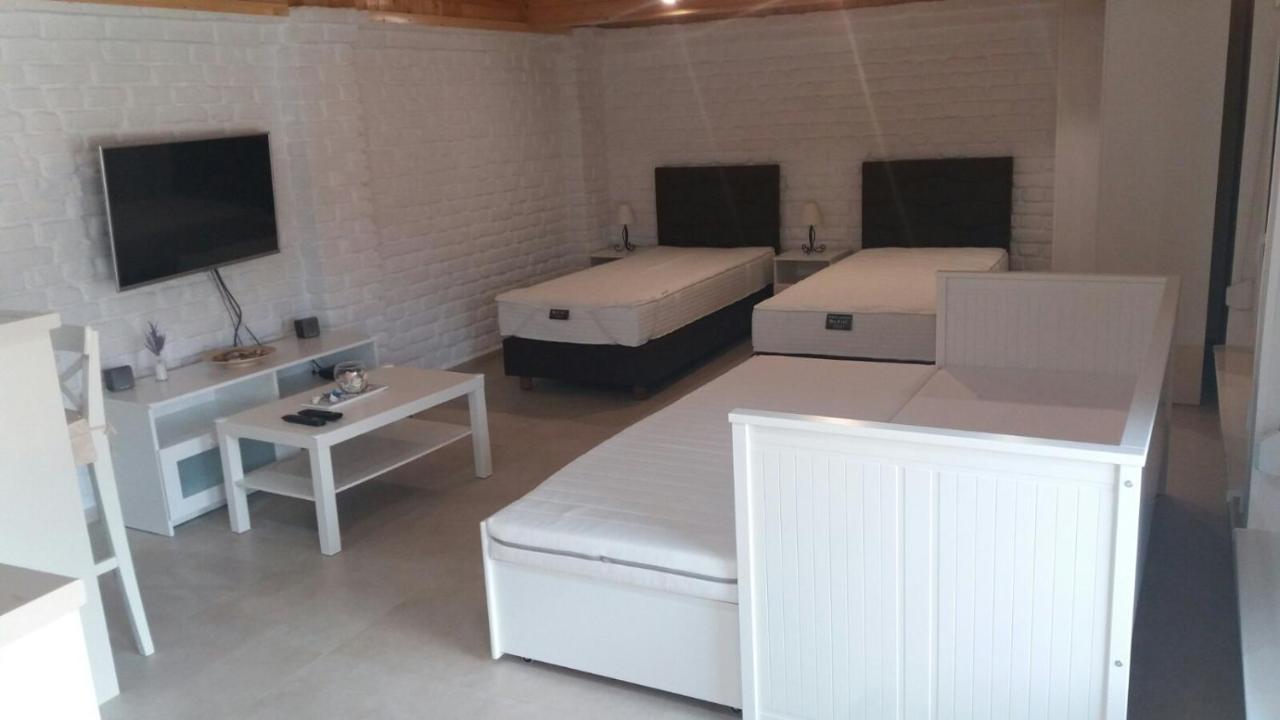 Rita Apartman & Studio Zrenjanin Zewnętrze zdjęcie