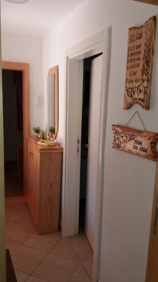 Rita Apartman & Studio Zrenjanin Zewnętrze zdjęcie
