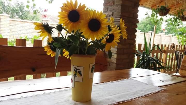 Rita Apartman & Studio Zrenjanin Zewnętrze zdjęcie